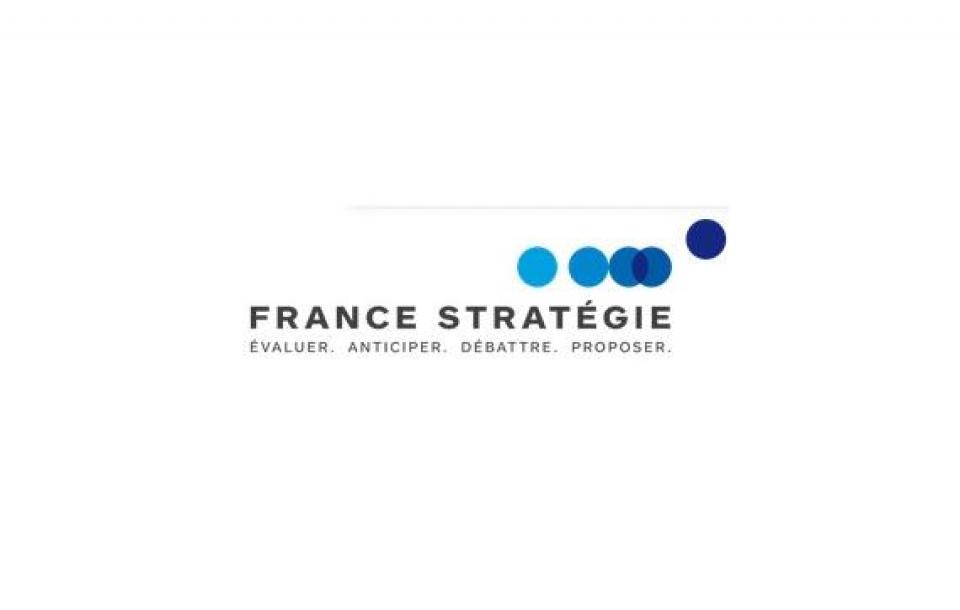 France strategie capital humain