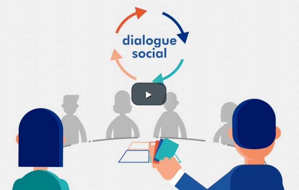 motion design formations communes